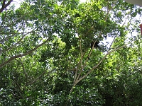 IMG 0001