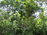 IMG 0002