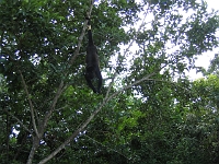 IMG 0005