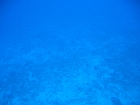 IMG 0030