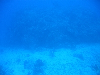 IMG 0032