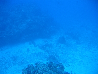 IMG 0033