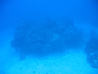 IMG 0035