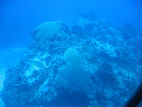 IMG 0037