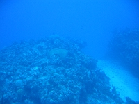 IMG 0040