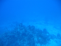 IMG 0041