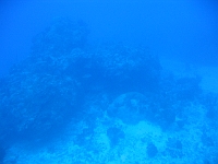 IMG 0042