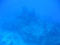 IMG 0043