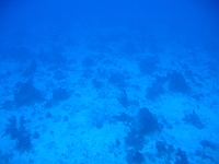 IMG 0044