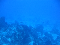 IMG 0046