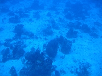 IMG 0047