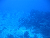 IMG 0049