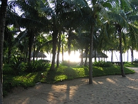 IMG 0074