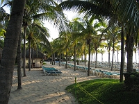 IMG 0075