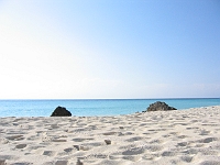 IMG 0081