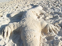 IMG 0089
