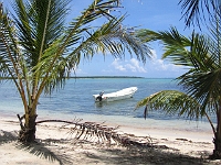 IMG 0101