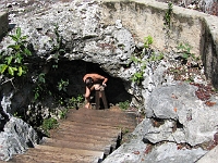 IMG 0105