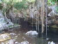 IMG 0111