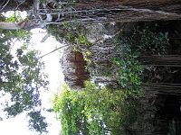IMG 0115