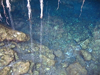 IMG 0116