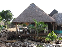 IMG 0118