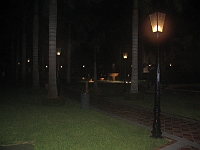 IMG 0127