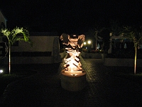 IMG 0140