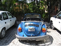 IMG 0145