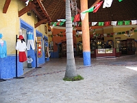 IMG 0156