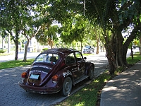 IMG 0159