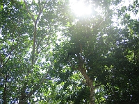 IMG 0164